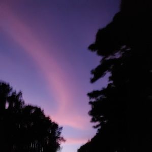 Meet your Posher, Abba